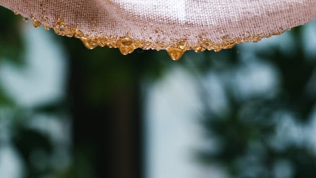 벌집에서 떨어지는 끈적끈적한 꿀