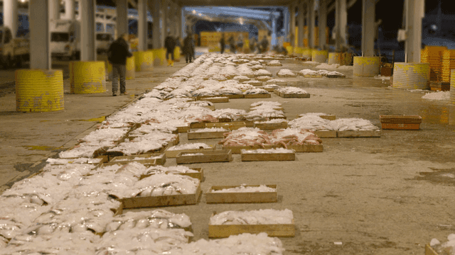 Fish market with fresh seafood on display