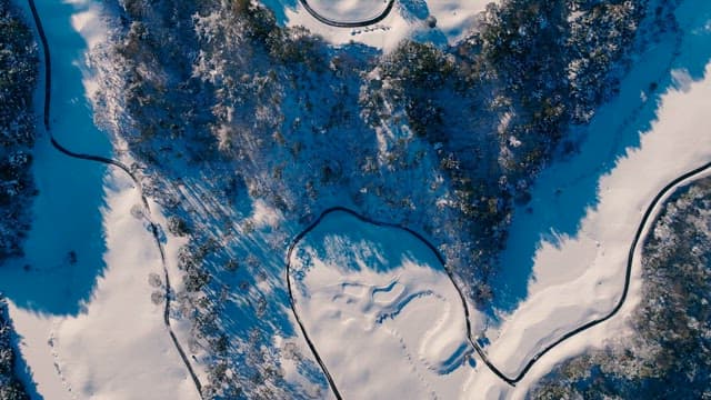 눈 덮인 나무와 겨울 풍경