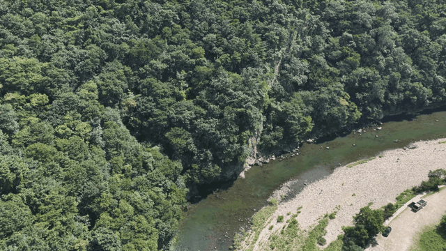Quiet river flowing through green forest