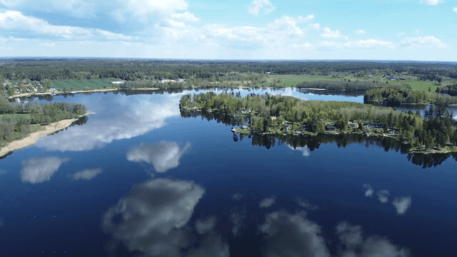 푸른 숲으로 둘러싸인 고요한 호수