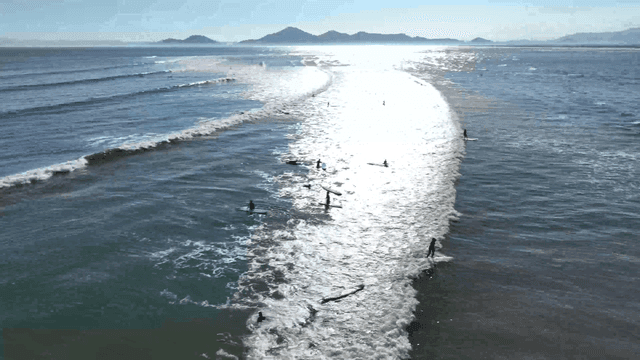 Surfers riding waves on a sunny beach