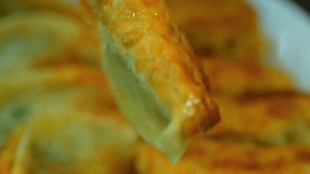 Crispy fried dumplings on a plate