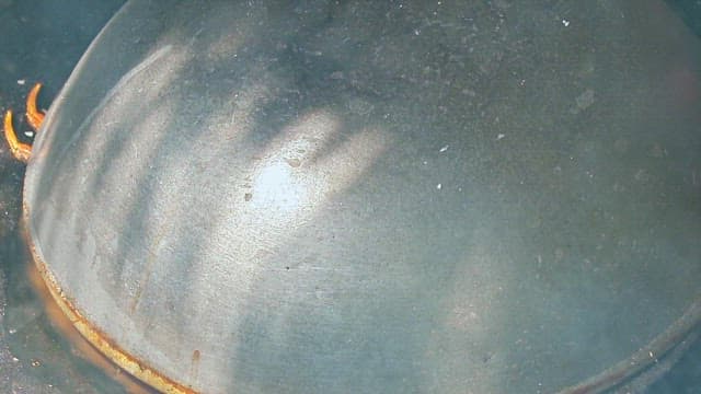 김이 나는 냄비에서 요리 중인 게