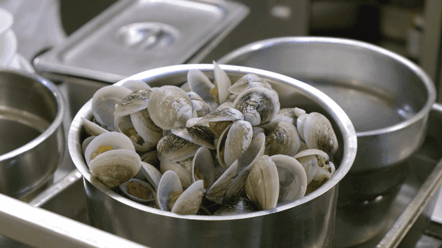 Pot full of freshly boiled clams