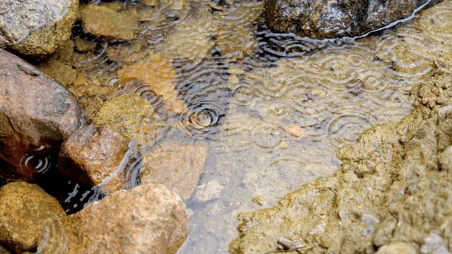 빗방울이 물결을 만드는 모습