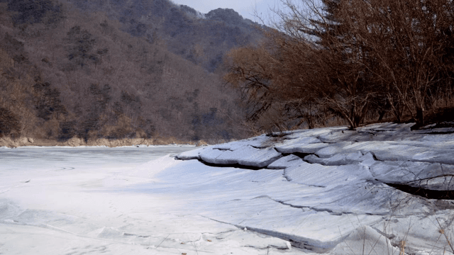 얼음이 갈라진 호수와 나무들