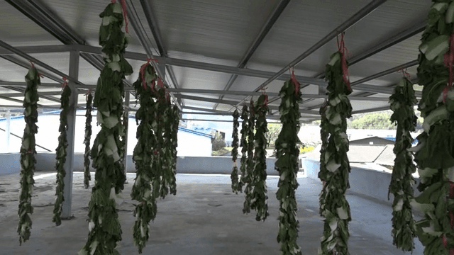 지붕 아래에서 건조하는 걸려있는 채소