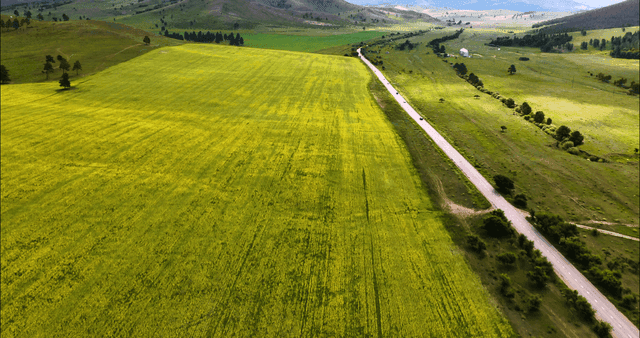 구불구불한 도로가 있는 넓은 초록 들판