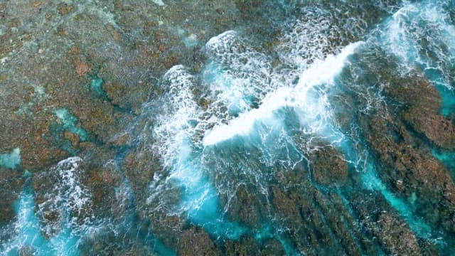 Coastal Waves Over Rocks