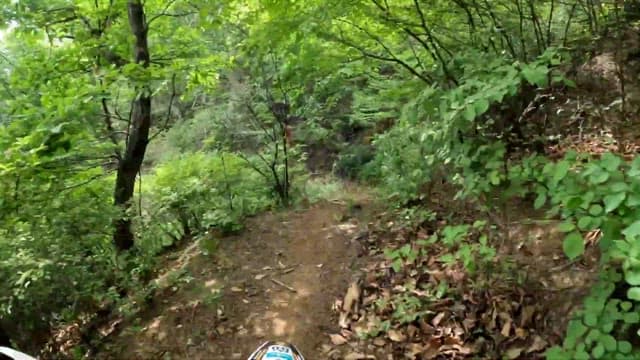 숲속 오프로드 모터사이클 모험