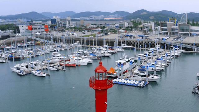 Yachts docked at marina
