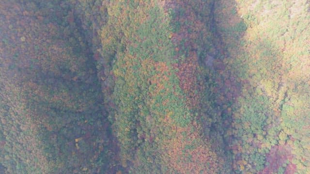 가을 단풍이 든 산맥