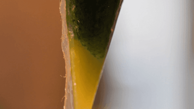 Green liquid sauce in piping bag