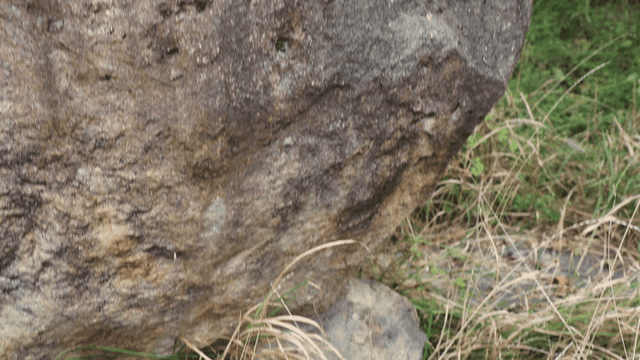 풀숲 가장자리에 놓인 거친 표면의 바위