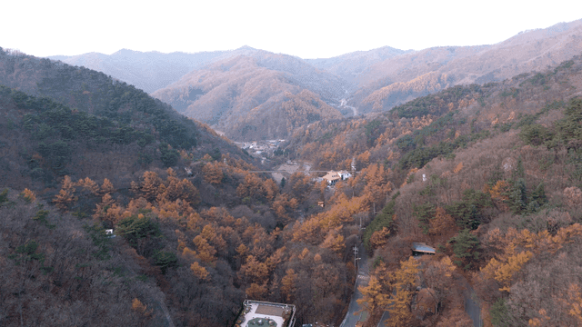 Autumn mountain scenery with red maple leaves