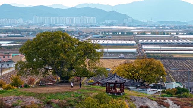 농경지와 정자가 있는 시골 풍경