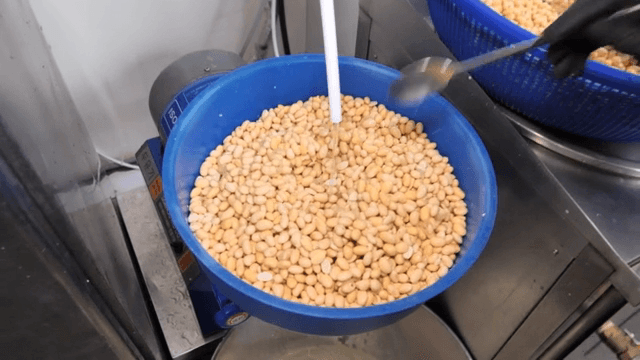 기계로 콩을 갈기 위한 준비