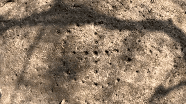Rock surface with small holes and moss