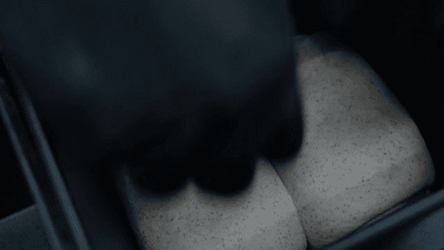 Bread dough placed in baking pan