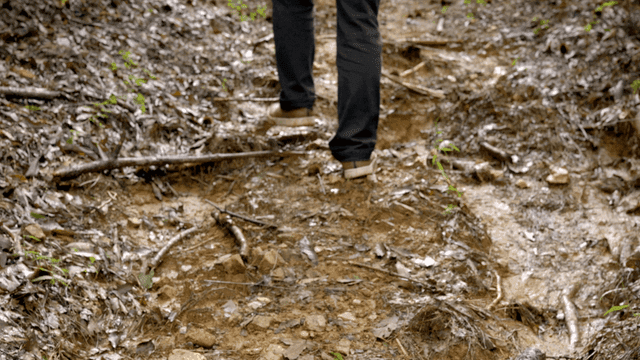 Person walking on muddy forest path