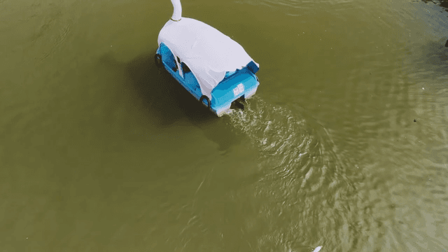 오리 모양의 보트 근처에서 헤엄치는 오리들