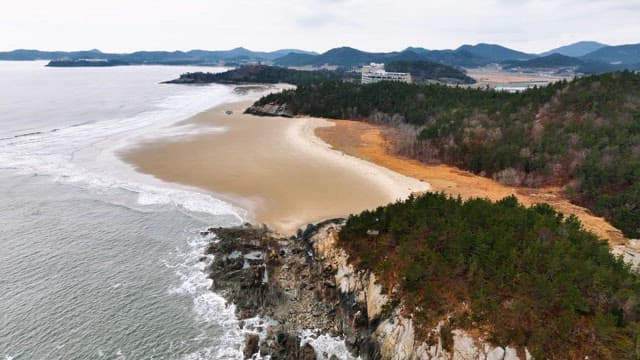 Serene beach with waves and forested cliffs