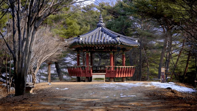 숲 속의 전통 한국 정자