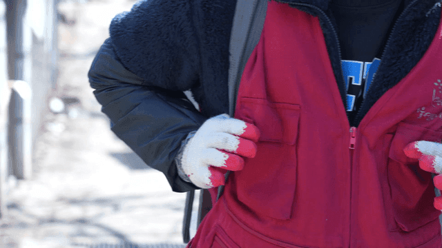 Person carrying things wearing gloves and red vest