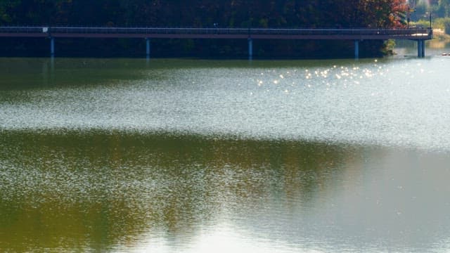 The sparkling water surface of the lake with a distant view of the trail