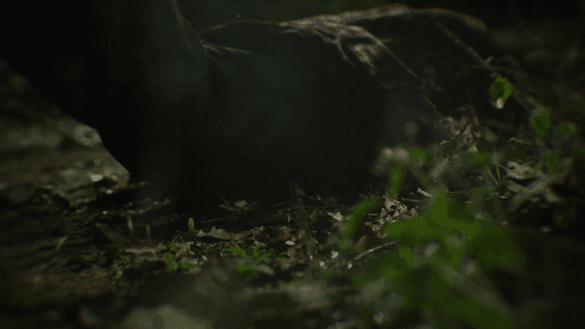 Person falling on dirt floor