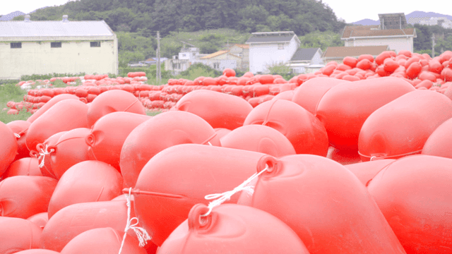 시골 들판에 흩어진 빨간 부표