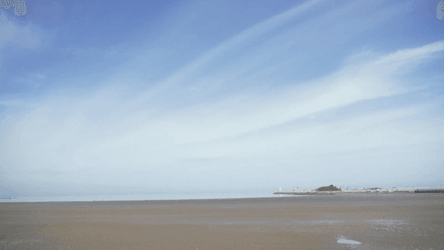 Calm tidal flat beach under clear sky