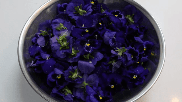 생생한 보라색 꽃으로 가득 찬 그릇