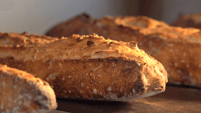 Bread baking in hot oven