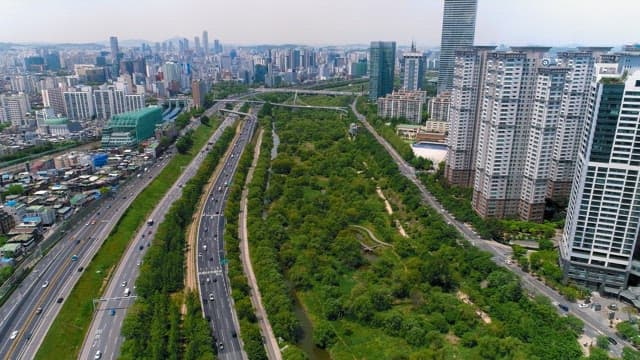 Fresh Park in a Crowded City