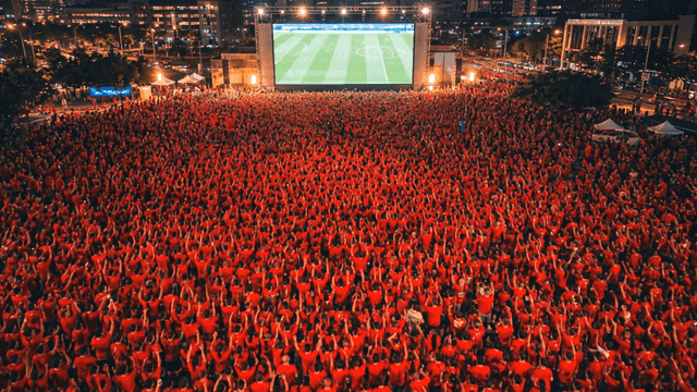 Large crowd watching soccer match