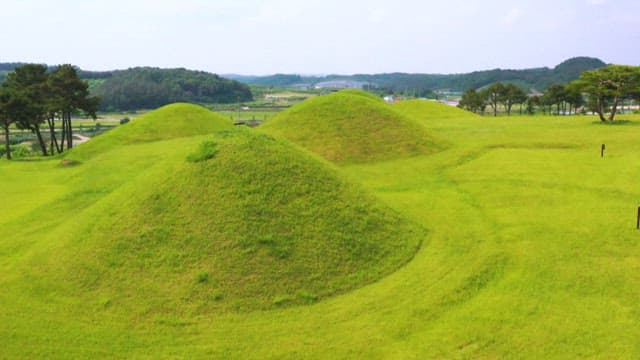 소나무와 고분이 있는 고요한 공원과 역사 유적지