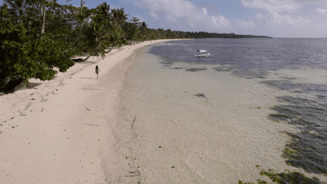 Person walking along a tropical beach