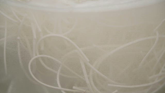 냄비에서 끓고 있는 면