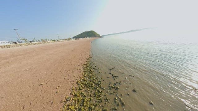 맑은 푸른 바다가 있는 고요한 해변