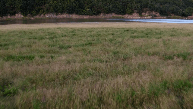 푸른 숲으로 둘러싸인 고요한 호수