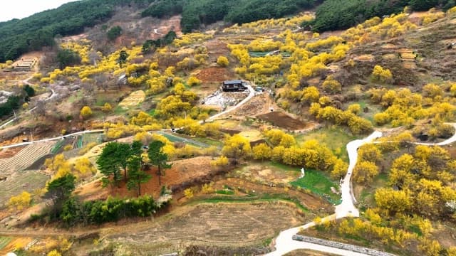 Scenic rural landscape surrounded by fields and trees