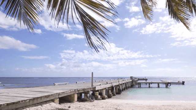 나무 부두가 있는 고요한 해변