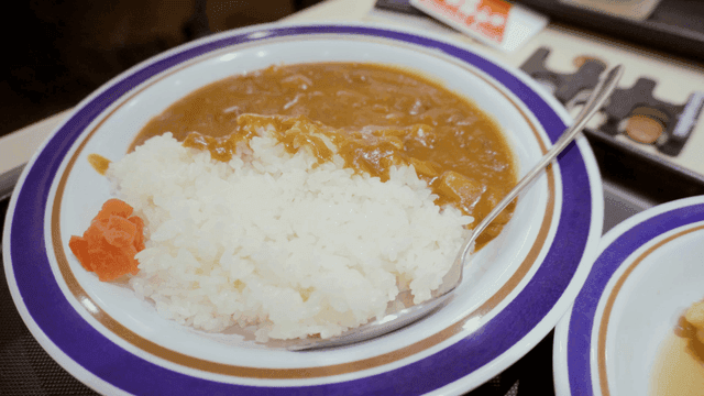 일본식 카레라이스 한 접시