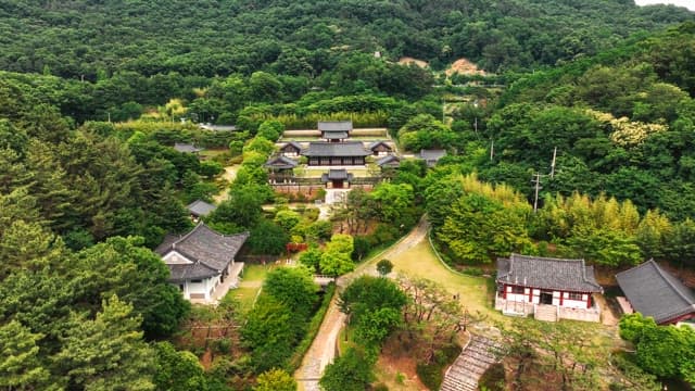 Traditional Korean houses surrounded by lush forest