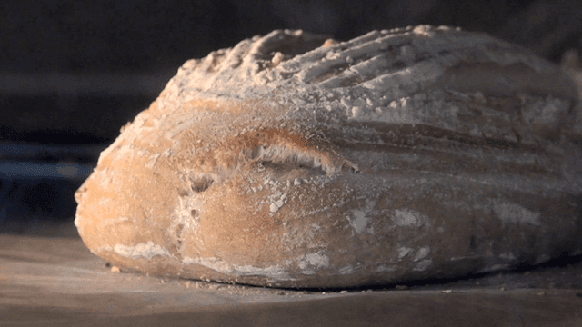 오븐에서 빵이 구워지는 과정