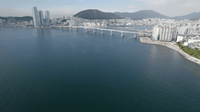 Coastal city Busan with a bridge and skyscrapers