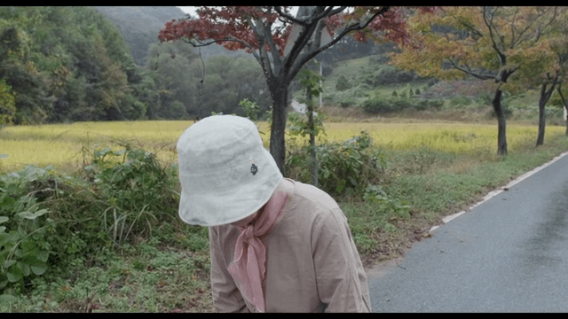 떨어지는 낙엽을 잡는 노인