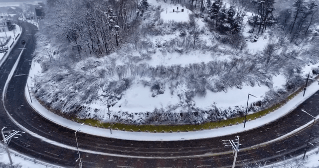 눈 덮인 숲과 구불구불한 도로